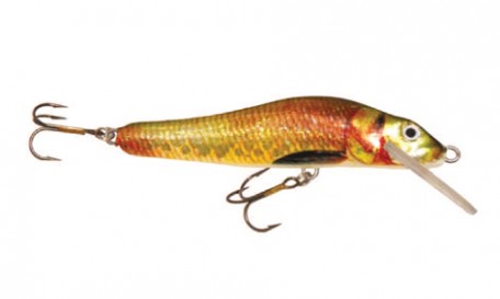 Minnow Floater
